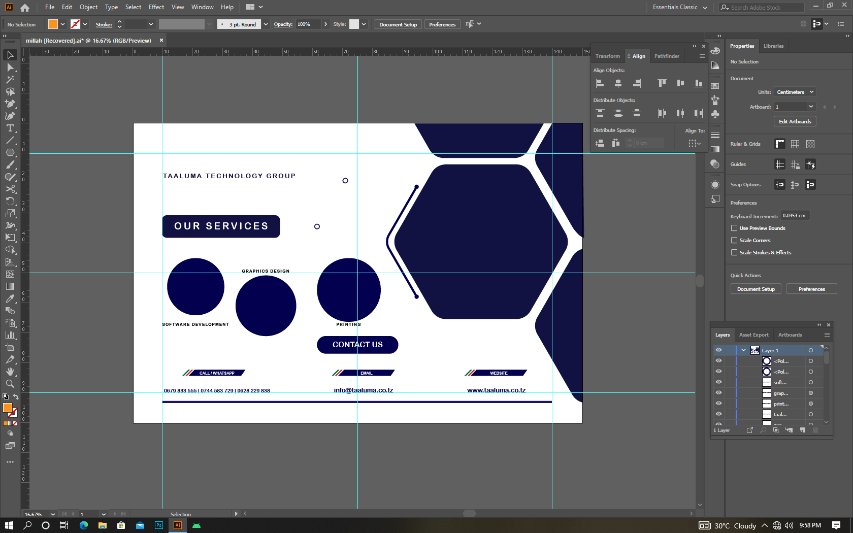 project image